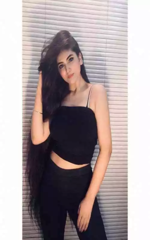 ludhiana escorts